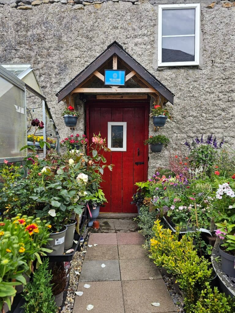 Garden to Vase Masterclass 1